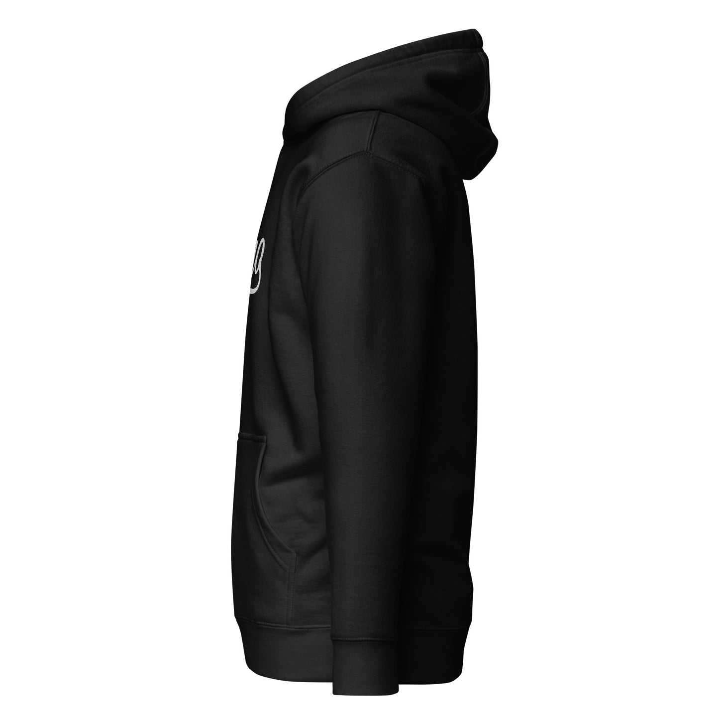 Hugo Minnesota Embroidered Adult Hoodie