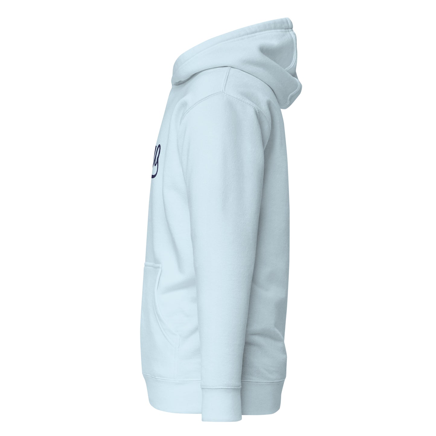 Hugo Minnesota Embroidered Adult Hoodie