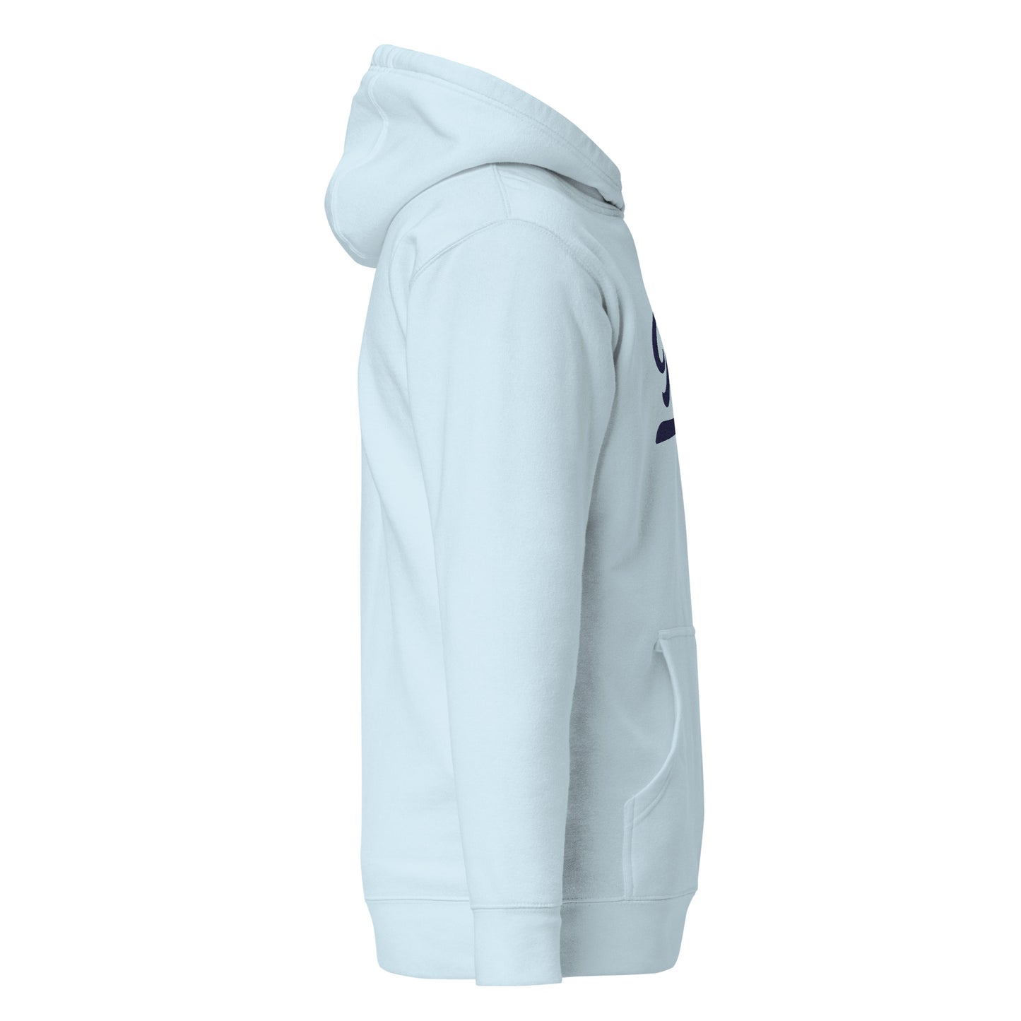 Hugo Minnesota Embroidered Adult Hoodie